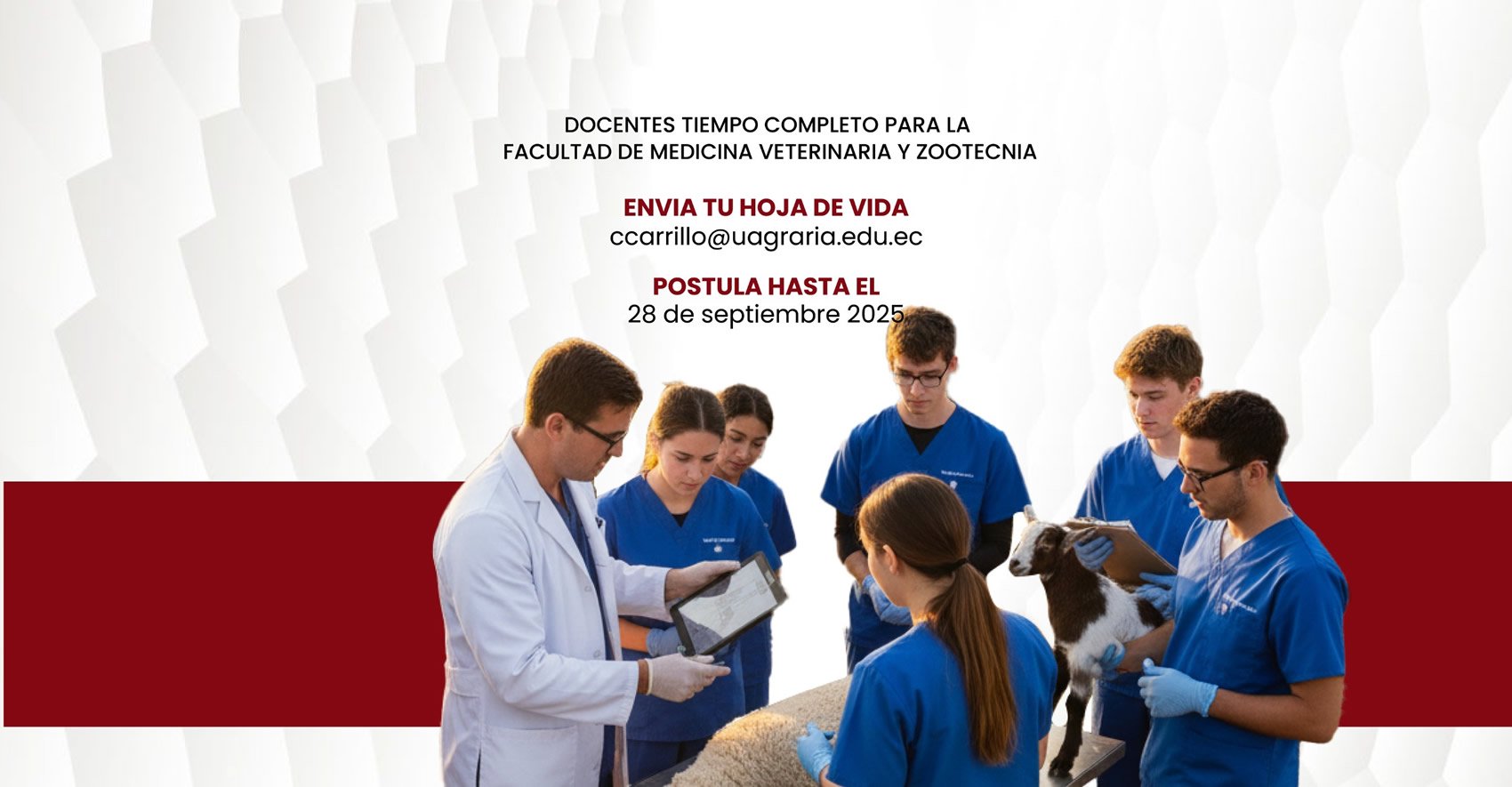 Convocatoria