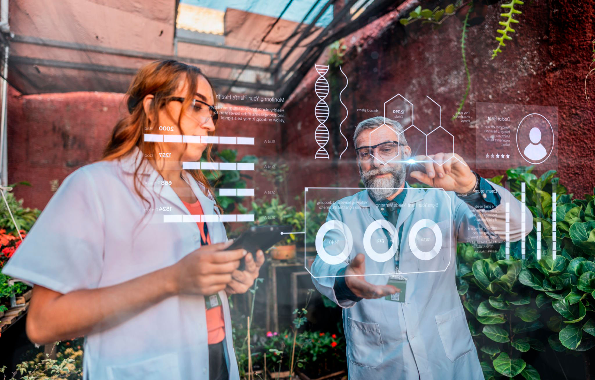 Tecnología de la Información